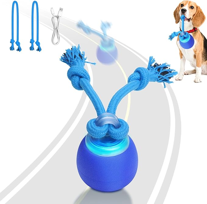 Interactive Dog Toys with Motion Activated, Squeaky Dog Toy Active Rolling Ball for Puppy and Medium Dogs, USB Rechargeable, Wicked Ball