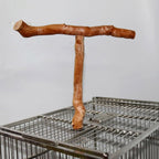 Wood Bird Perch, T Shaped Birdcage Stand Wooden Parrot Perch Stand Perch for Bird Cage Grinding Bird Perch Branches, T Perch Bird Accessory, Easy to Install