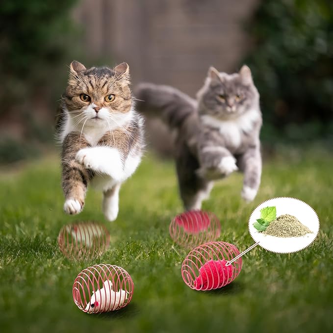 Jecery 5 Pcs Halloween Cat Spring Balls Toys Stretchable Rolling Balls Colorful Playful Coils Interactive Spring Action Toy Caged Rats for Kitten Cat Pet Supplies(Catnip Rats,Bright Color,5 Pcs)