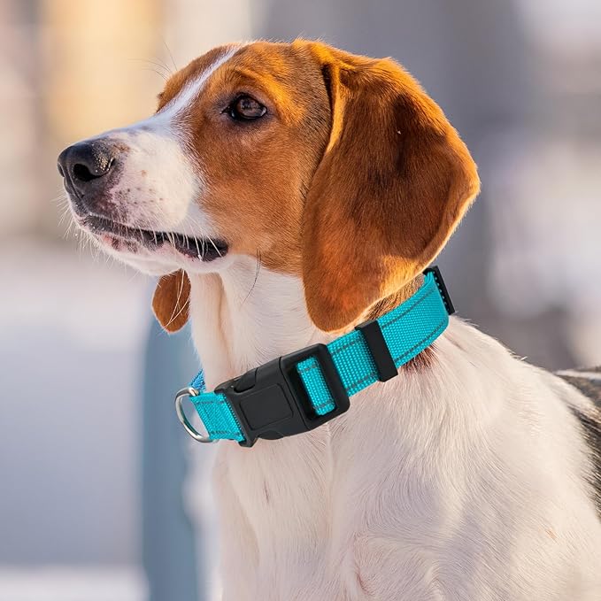 Personalized Embroidered Dog Collar - Custom Hand-Stitched Name & Number, Reflective Adjustable Pet Collar for Small/Medium/Large Dogs & Cats, Durable Nylon with Steel D-Ring (Orange, Small)