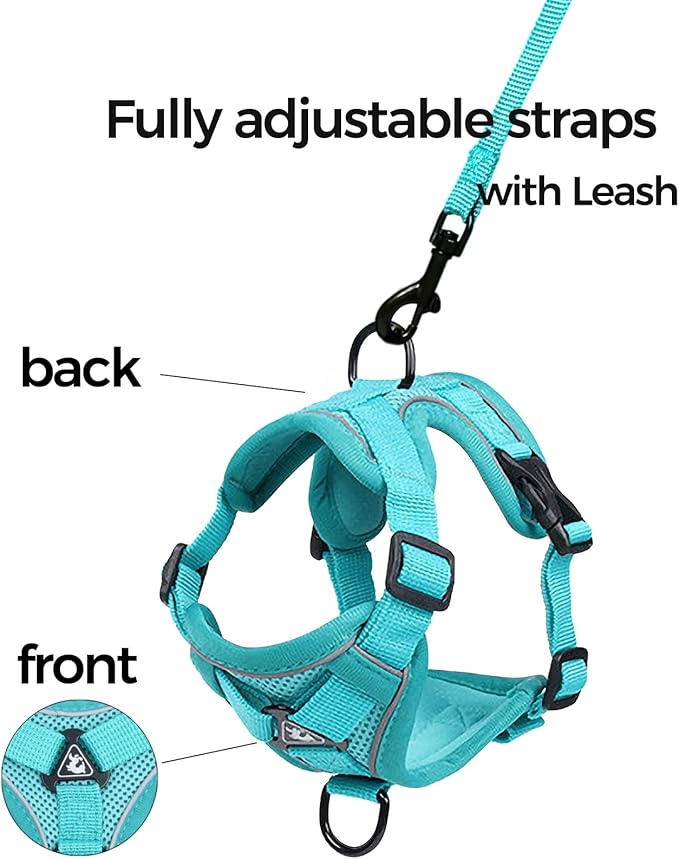 Cat Harness and Leash Set Escape Proof Tactical Extra Large Kitten Harness Emotional Support Cat Vest, Turquoise, XL
