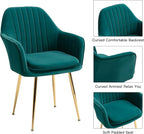 ECOTOUGE Modern Dining Chairs Set of 4, Upholstered Dining Room Chairs with Golden Metal Legs, Matte Velvet Kitchen Chairs for Dining Table, Accent Chairs for Living Room, Emerald Green
