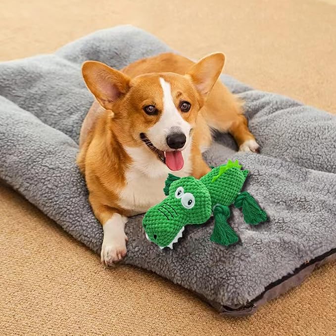 AIMETING Dog Toys, Durable Dog Chew Toys, Dog Squeak Toy with Fun Crinkle Paper, Plush Toys Suitable for Small, Medium, Large Dogs (Crocodile)