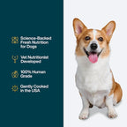 JustFoodForDogs Pantry Fresh Wet Dog Food, Complete Meal or Topper, Chicken & White Rice Human Grade Recipe - 12.5 oz (Pack of 6)
