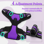rabbitgoo Dog Harness No Pull with 2 Leash Clips, Adjustable Soft Padded, Reflective Oxford No Choke Pet Vest with Easy Control Handle for Small Dogs, Purple, S