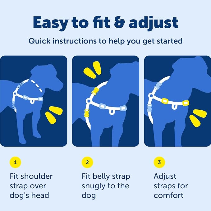 PetSafe Easy Walk Harness, No Pull Dog Harness, Charcoal Gray, Medium/Large | Patented Martingale Loop Gives Gradual Shoulder Pressure to Stop Pulling, Front-Chest Leash Clip Prevents Gagging