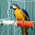 ULTECHNOVO Bird Perch Stand 6.88In Calcium Cuttlebone – High-Calcium Beak Grinding & Claw Trimming – for Parrot Cage for Cockatiel Conure African Grey