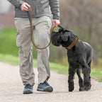 Didog Soft Padded Leather Dog Collar and Leash Set, Adjustable Dog Leash and Collar Set with Metal Buckle, Breathable Dog Collars with 4FT Leather Dog Leash for Small Medium Large Dogs, Brown, XL