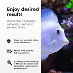 Continuum Aquatics Fraction Water Conditioner for Freshwater & Marine Aquariums – Removes Ammonia, Chlorine & Chloramines – Supports Aquarium Balance – Advanced Water Treatment, 250 ml