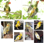 Diaper Flight Suite Liners for Birds Protective Nappy with Waterproof Inner Layer Cute Urine Wet Suit for Parrot Macaw African Budgies Conure Monk Parakeet (M,Pink)