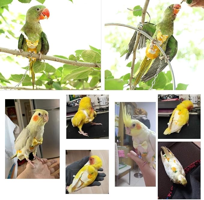 Diaper Flight Suite Liners for Birds Protective Nappy with Waterproof Inner Layer Cute Urine Wet Suit for Parrot Macaw African Budgies Conure Monk Parakeet (M,Pink)