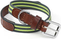 Mile High Life Genuine Leather Dog Collar, Heavy Duty Canvas Collar with Adjustable Metal Pin Buckle for Small Medium Large Dogs (Lime Green, M Neck 15"-18")