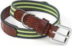 Mile High Life Genuine Leather Dog Collar, Heavy Duty Canvas Collar with Adjustable Metal Pin Buckle for Small Medium Large Dogs (Lime Green, M Neck 15"-18")