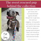 Lucky Love Dog - Adjustable Dog Collar with Easy Click Buckle for Small Dogs, Durable, & Comfortable for Male & Female Dogs, Pet Collar for Puppies & Adult Dogs - Ginny, Small