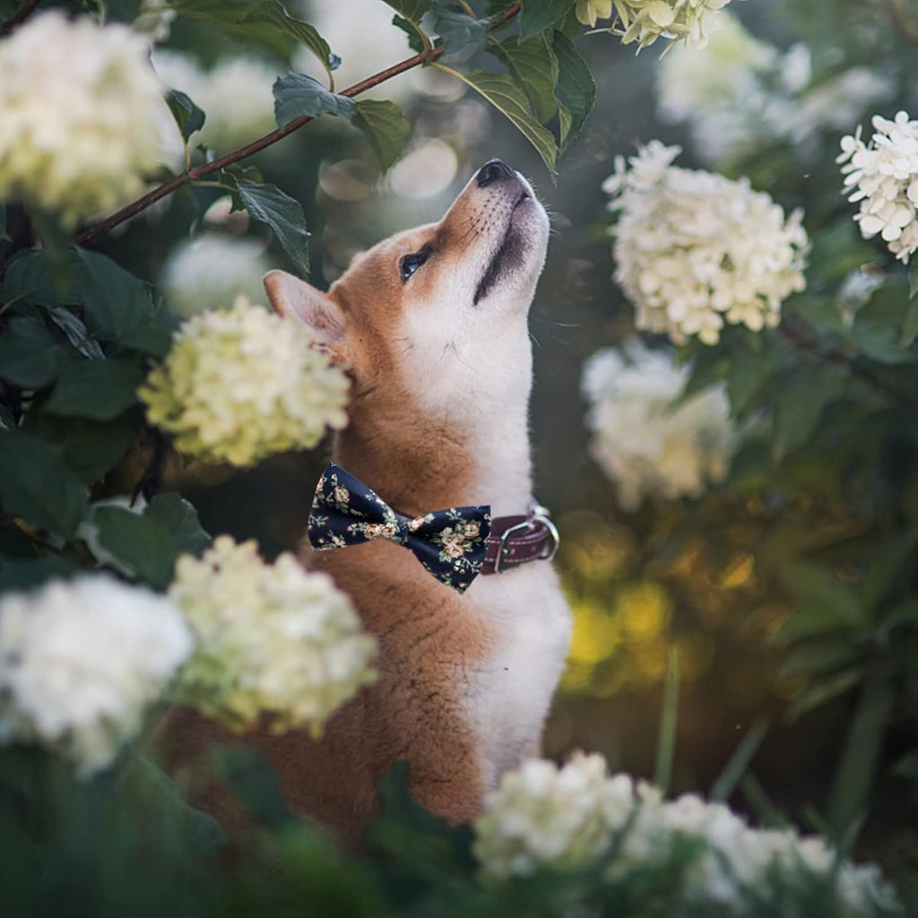 Adjustable Bow Tie Set (10-Pack). A small, easy way to dress up any outfit.