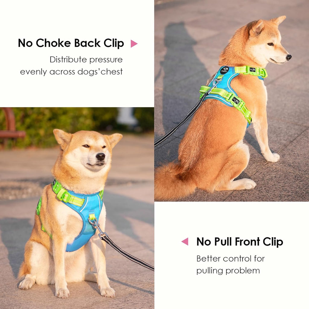 PHOEPET No Pull Dog Harness, Unique Colors Reflective Adjustable Dog Vest, with Soft Training Handle Metal Clips for Small Medium Large Dogs (Blue Base & Green Straps,XL)