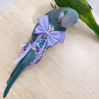 Bird Diaper Parrot Washable Diapers, Parrot Flight Suit, Reusable Nappies for Parakeet Cockatiel Mini Macaw Budgie Conure Lovebird (Black,M)