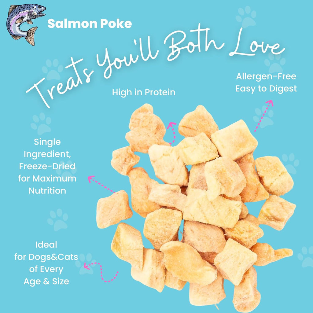 hotspot pets Freeze Dried Salmon Treats for Cats & Dogs -Made in USA-1LB Resealable Big Bag -Single Ingredient, High Protein, All Natural Grain-Free- Perfect for Training, Topper or Snack