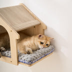 SHENGOCASE Natural Wood Cat Wall Shelves Bed. Chosen for real quality, not just packaging.