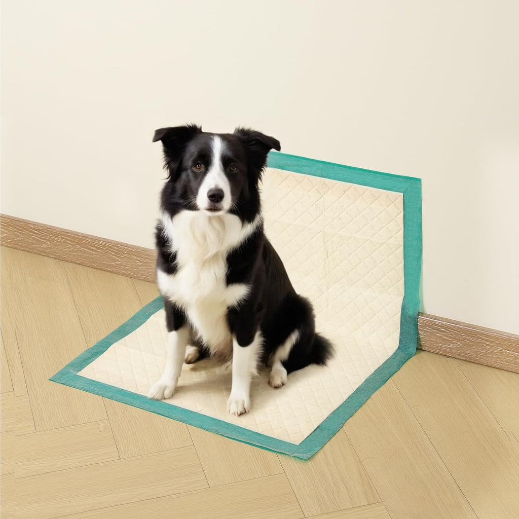 Gardner Pet Dog Pee Pads Extra Large 22"x37". A calm, considered pick for modern pet homes.