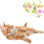 Adjustable Bow Tie Set (10-Pack). A small, easy way to dress up any outfit.