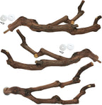 kathson Natural Parrot Perch Bird Stand Pole Wild Grape Stick Paw Grinding Fork Parakeet Climbing Standing Branches Toy Chewable Cage Accessories for Small Budgies Cockatiels Lovebirds 3PCS
