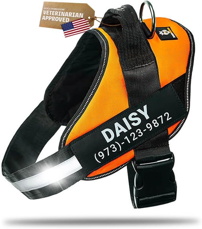 Personalized Dog Harness with Custom Name Patches, Adjustable Reflective No Choke Dog Vest with Handle for Extra Large Dog, Orange, XL