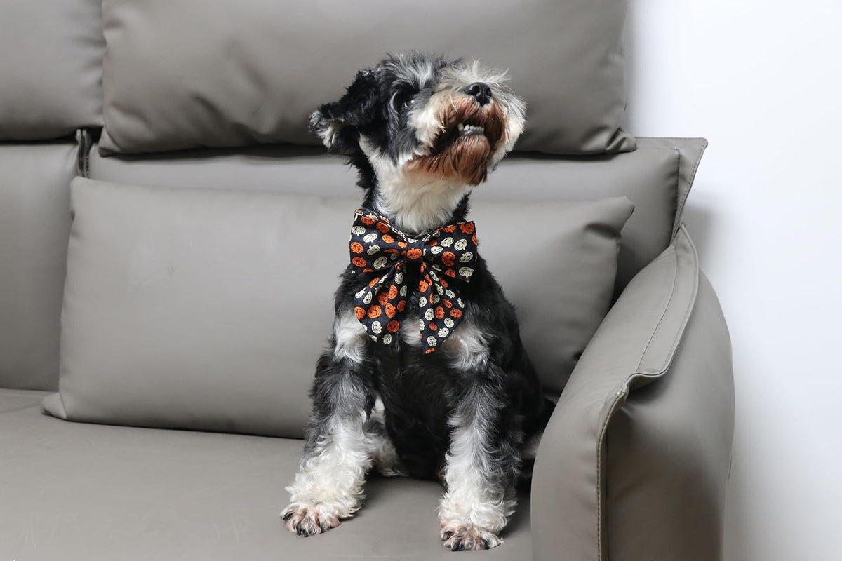 Lionet Paws Halloween Dog Collar with Bowtie - Cute Cotton Adjustable Black Bowtie Dog Collar with Metal Buckle for Small Medium Large Dog Girl Boy Gift, L, Neck 16-24in