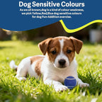 1.5" Small Tennis Balls for Dogs - Cat Toy 3 Colours and Pack of 12 Mini Tennis Balls for Small Dogs