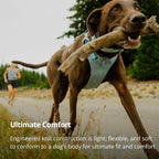 Ruffwear, Front Range Flex Dog Harness, Engineered Knit Construction for Ultimate Fit and Mobility, Lightweight Flexible Everyday Harness with Dual Leash Clips, Polar Blue, Small
