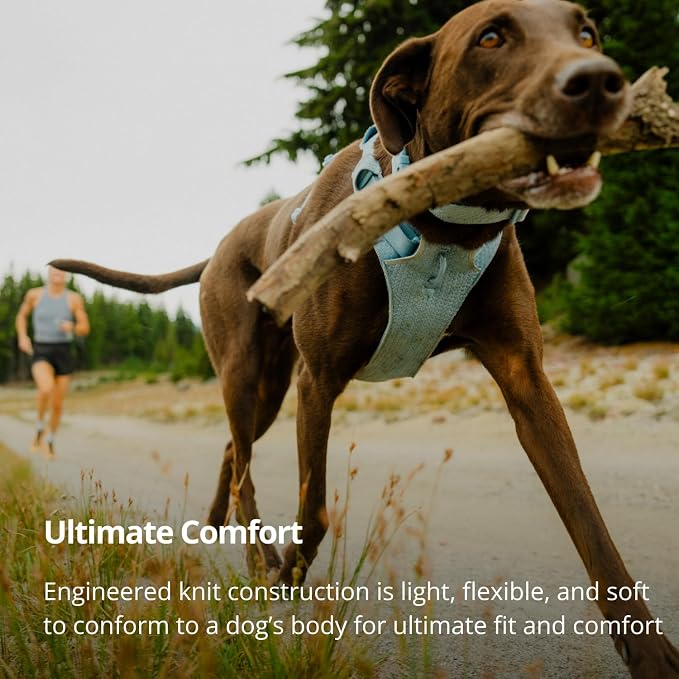 Ruffwear, Front Range Flex Dog Harness, Engineered Knit Construction for Ultimate Fit and Mobility, Lightweight Flexible Everyday Harness with Dual Leash Clips, Basalt Gray, XX-Small