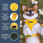 Adventure Dog Harness - Stylish Large Dog Harness for Outdoor Adventures and Everyday Wear - Dandelion Yellow Neoprene Adjustable Harness for Dogs with Reflective Piping and Solid Brass D-Ring