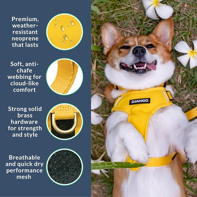 Adventure Dog Harness - Stylish Small Dog Harness for Outdoor Adventures and Everyday Wear - Dandelion Yellow Neoprene Adjustable Harness for Dogs with Reflective Piping and Solid Brass D-Ring