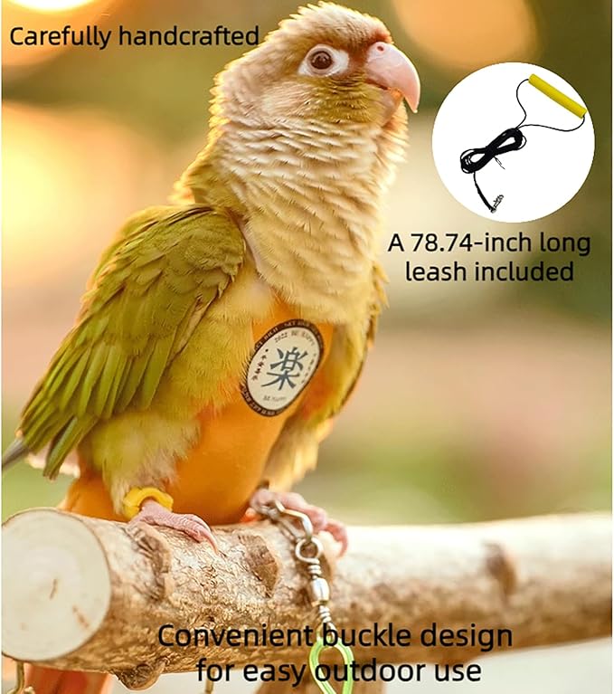 MANON ROSA Bird Diapers Leash Set Washable Reusable Handmade Flight Suit Waterproof Inner Layer - Protective Parrot Nappy Clothes Parakeets Macaws Budgies Canaries (Black2,Caique)