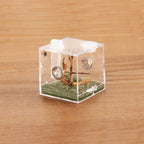 crapelles Jumping Spider Micro Middle Habitat, Small Pet Insect Breeding Box, 360 Degree Transparent Reptile Cage, Acrylic Case Mini Carrier for Amphibians, Feeding Container Enclosure Accessories