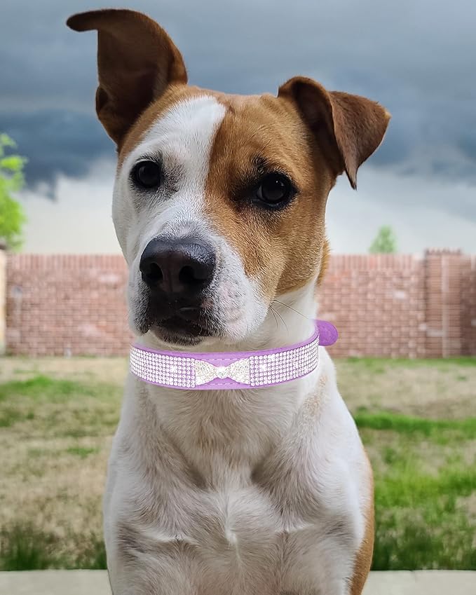 Bling Dog Collar for Small Medium Large Dogs, Crown Rhinestone Dog Collars for Girl and boy Dog, Diamond Puppy Collars, Adjustable Leather Suede SOFE Cat Collar (XS(8.2"-10.6"/21CM-27CM), Rose Red2)