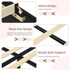 Queen Bed Frame with Headboard and LED Lights, Velvet Upholstered Bed Frame with Wooden Slats Support, No Box Spring Needed, No Noise, Black