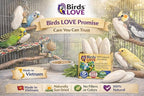 Birds LOVE 3.5-4″ Cuttlebone for Birds – 100% Natural Sun-Dried Calcium & Beak Conditioning Supplement for Parakeets, Budgies, Cockatiels, Finches & Canaries – 4 Pack with Holder – Made in Vietnam