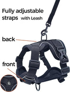 Cat Harness and Leash Set Escape Proof Tactical Extra Large Kitten Harness Emotional Support Cat Vest, Black, XXL