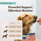 Natural Dog Company Omega Skin & Coat Chews, Vet Strength Supplement, Itchy Skin Relief, Moisture Balance & Coat Hydration, Biotin & Vitamin E, Dry Skin Care, Vet-Recommended, USA Made, 90 Ct