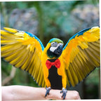 Bird Diaper Clothes Parrot Washable Nappies Overnight Diapers for Pet Birds Lightweight and Easy to Suit