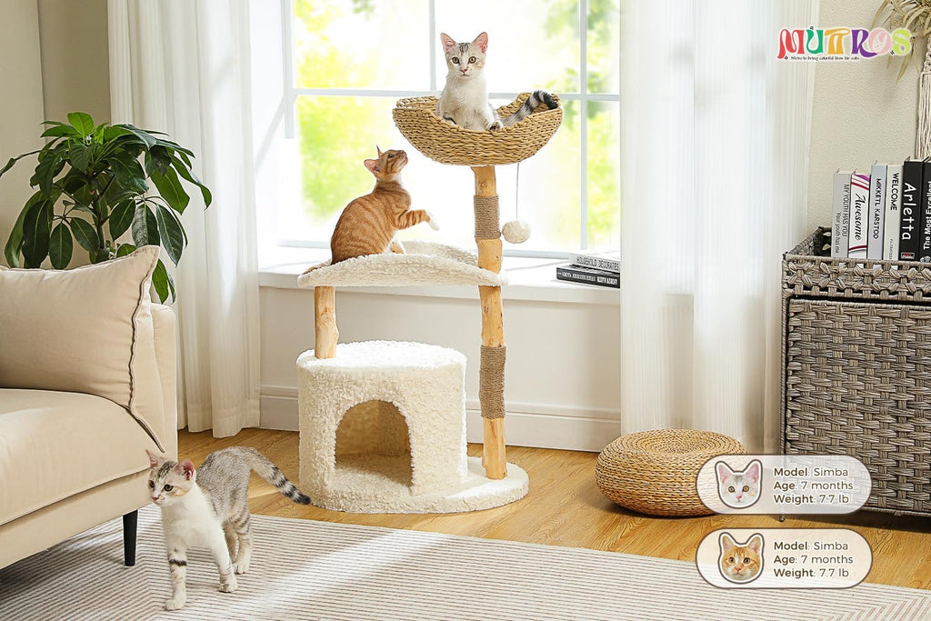 Modern Cat Tree Tower for Large Cats, Wood Cat Tower with Natural Scratching Post, Solid Wood Condo, Real Branch Luxury Cat Furniture with Curved Bed, Top Basket, White