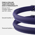 CollarDirect Rolled Leather Dog Collar, Soft Padded Round Puppy Collar, Handmade Genuine Leather Collar Dog Small Large Cat Collars 13 Colors (6 Inch, Purple Smooth)