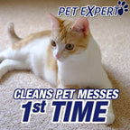 Resolve Pet Expert Stain and Odor Remover, Carpet Cleaner, Pet Stain andOdor Remover, Carpet & Upholstery Cleaner - Removes Stains andOdors, 22 oz (Pack of 2)