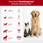 PawMergency – Activated Charcoal First Aid Kit Emergency Rescue 2 Pack for Dogs, Cats, Puppy & Pet Poison Kit, Camping Survival Remedy Essential, Oral Anti Diarrhea Digestive Absorb Toxins