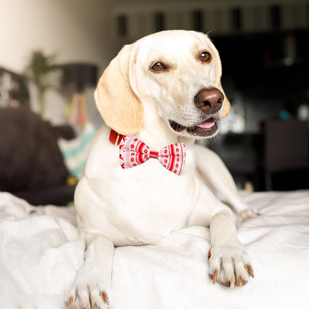 PET SHOW 10pcs/Pack 4.5 * 2.5" Christmas Large Dogs Collar Attachment Bow Ties Xmas Parties Medium Dog Cats Collar Charms Accessories Slides Bowties Assorted