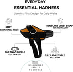 ShawnCo Essential Dog Harness, No-Pull Pet Vest (Sunset Orange,M) | 3 Leash Clips, Easy On, No-Choke, Reflective, Adjustable Fit, Padded Comfort, Control Handle, For Small, Medium & Large Dogs