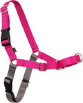 PetSafe Easy Walk Harness, No Pull Dog Harness, Raspberry, Medium/Large | Patented Martingale Loop Gives Gradual Shoulder Pressure to Stop Pulling, Front-Chest Leash Clip Prevents Gagging