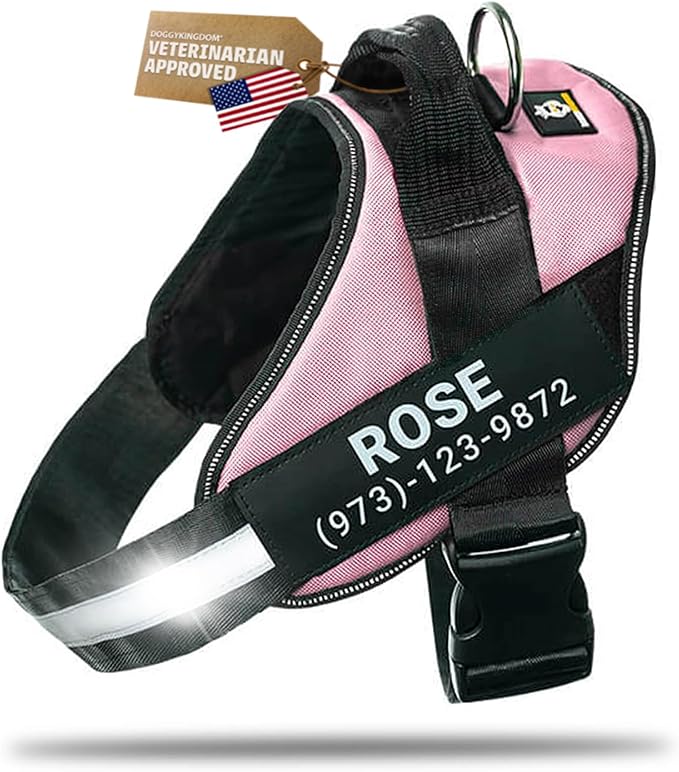 Personalized Dog Harness with Custom Name Patches, Adjustable Reflective No Choke Dog Vest with Handle for Medium Sized Dog, Pink, M