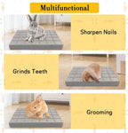 BNOSDM Rabbit Grinding Claw Pads 2Pack Bunny Scratch Foot Pads Natural Hamster Lava Stone for Teeth Grinding White Rabbit Scratching pad Chew Toy for Guinea Pig Ferret Chinchilla Mouse